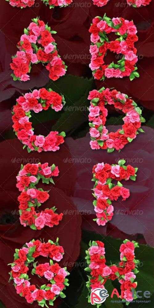Roses Alphabet 663256