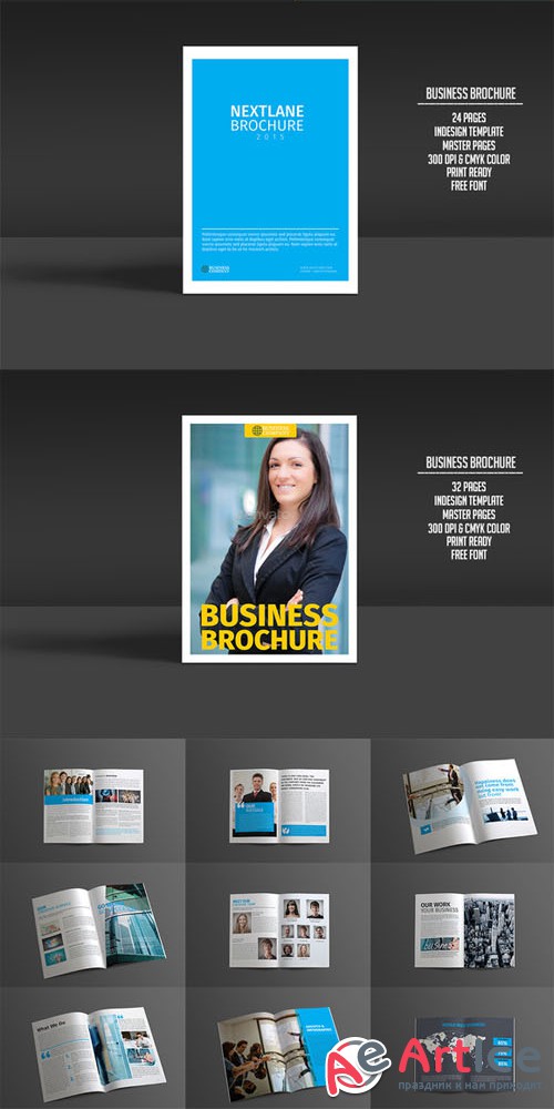 Business Brochure Bundle - CM 203405