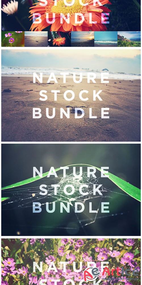 Nature Stock Bundle - Creativemarket 119511