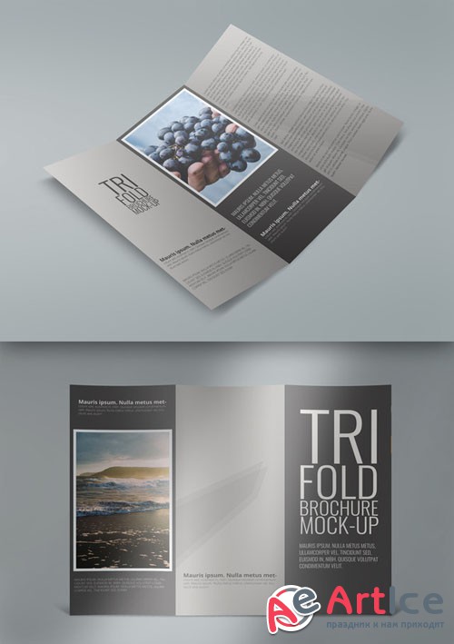 Tri-Fold Brochure Mock Ups - Creativemarket 236940