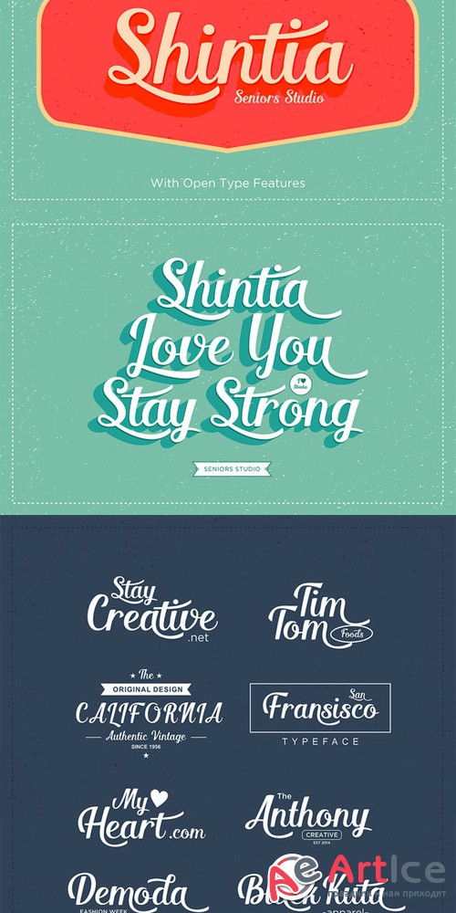Shintia Script Font Family - Creativemarket 25671