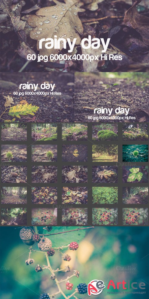 Creativemarket Rainy day 81492