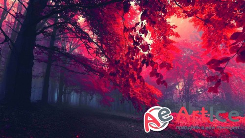 Wallpapers Mix Collection #224