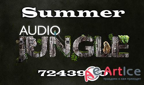 Audiojungle Summer 7243940