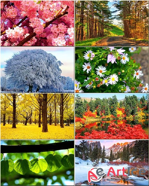 Wallpapers Seasons #287