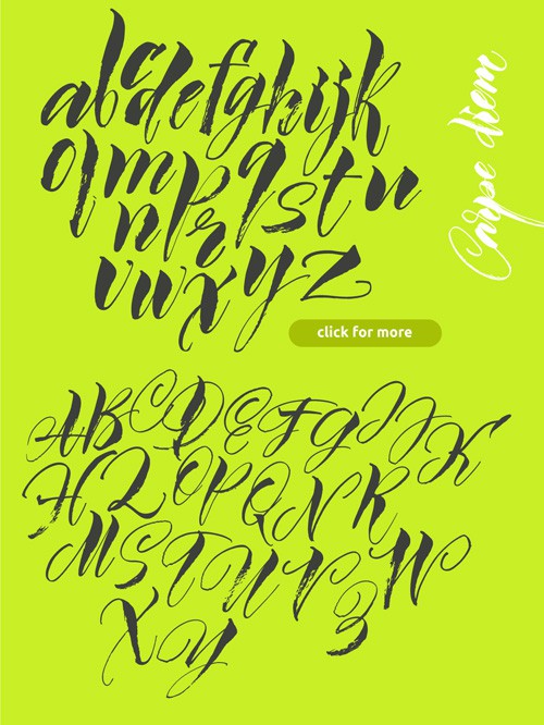 Vector Calligraphic typeface 1