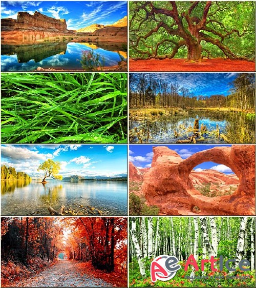 Wallpapers Beautiful Nature #261