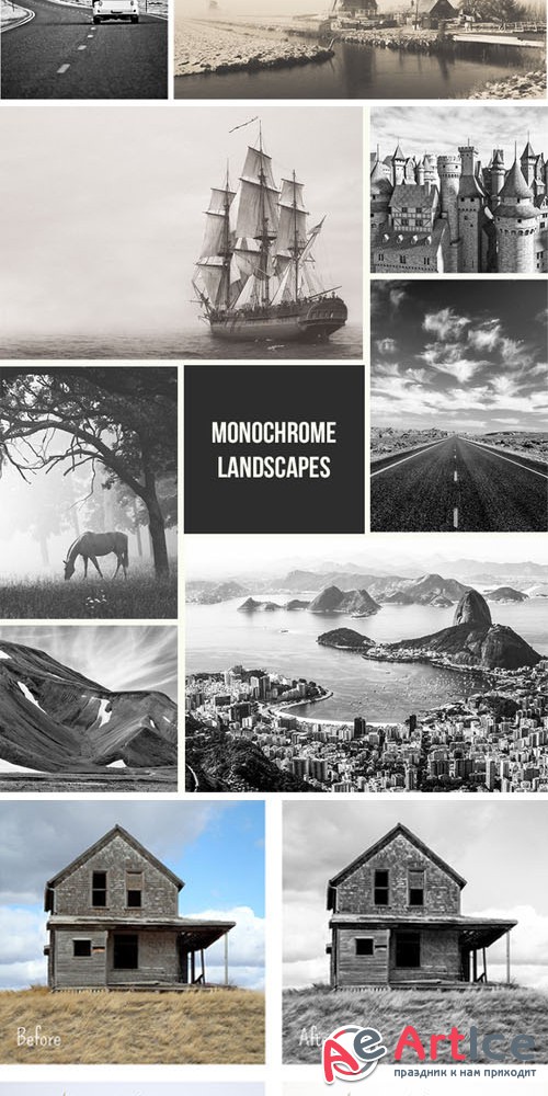 Creativemarket - Monochrome and B&W Landscape Presets 89502