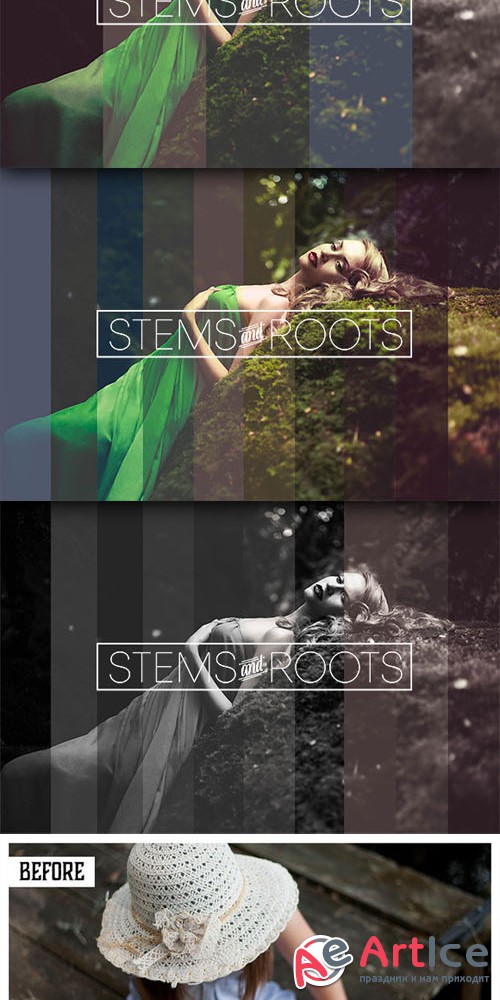 Creativemarket - Stems & Roots Action Collection 264242