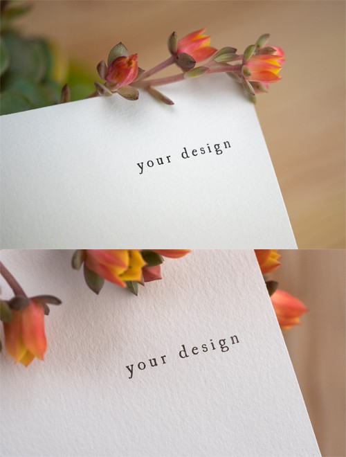 2 Logo Mock ups with Flowers PSD