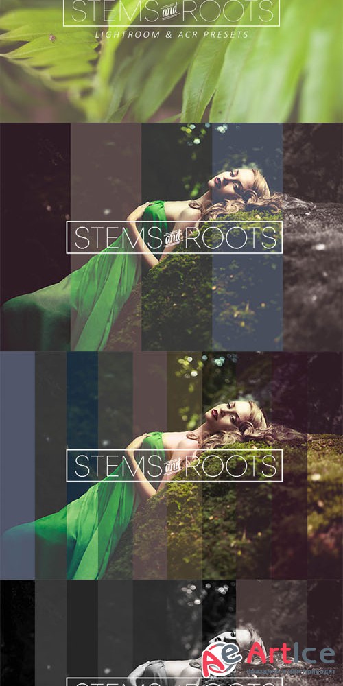 Stems & Roots LR/ACR Presets - Creativemarket 280476
