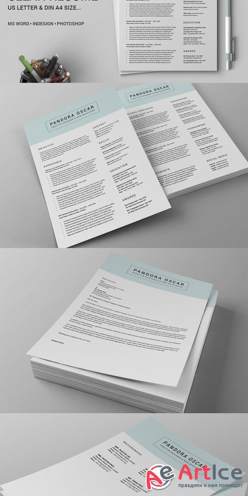 2 Pages Clean Resume CV - Pandora - Creativemarket 246984