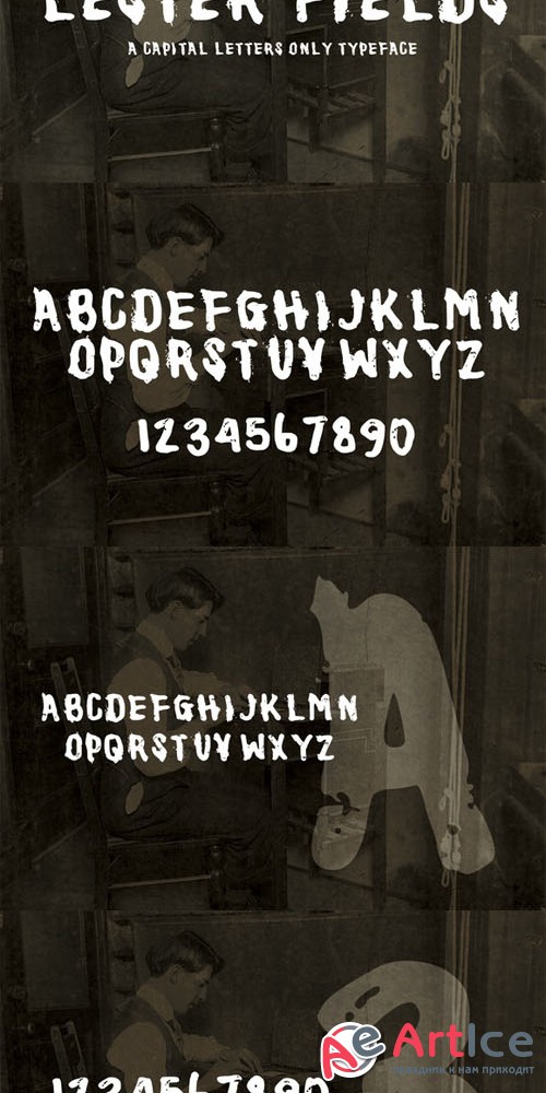 Creativemarket - Lester Fields Display Typeface 135735
