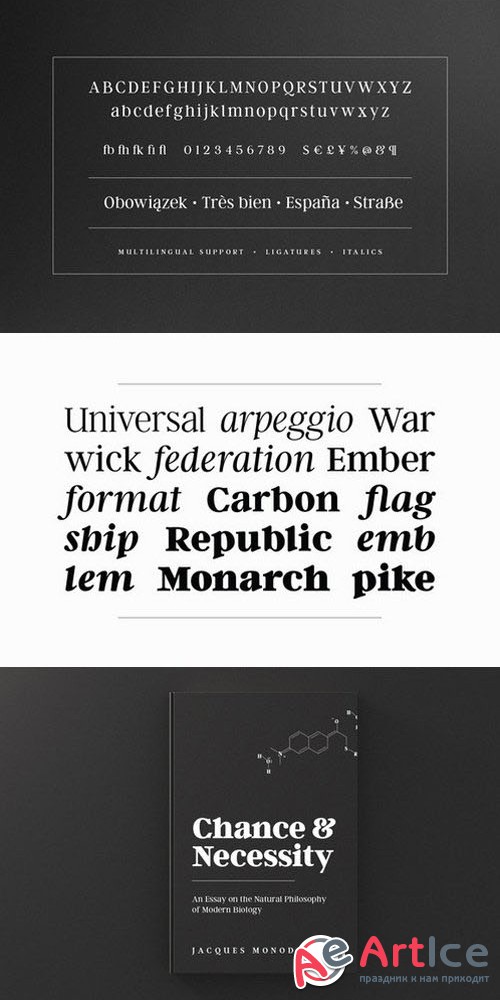 Argent CF font ($15 intro sale) - Creativemarket 294129