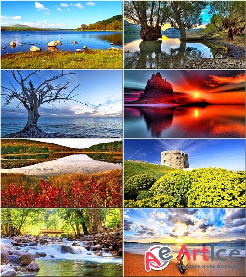 Wallpapers Colorful Nature #260