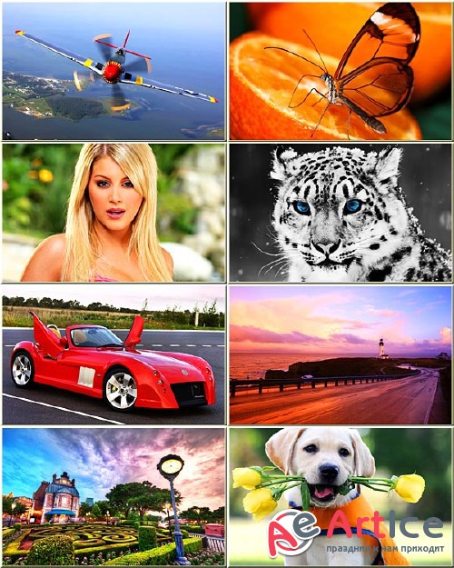 Best Mixed Wallpapers Pack #253