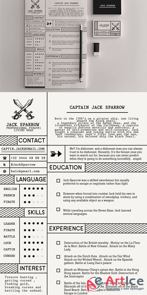 Professional Pirate Resume Template