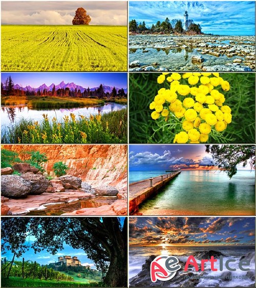 Wallpapers Colorful Nature #216