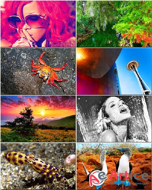 Best Mixed Wallpapers Pack #124