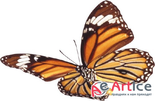 ���������: ������� � �������� (���������� ���) ������ �����