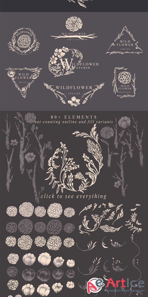 Creativemarket - Wildflower Collection 157098