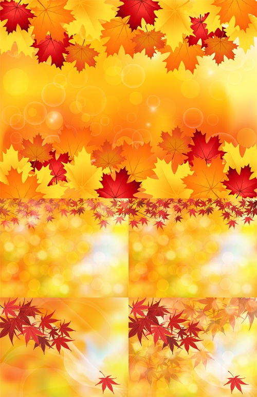 Vector Set - 5 Autumn Leaves Backgrounds