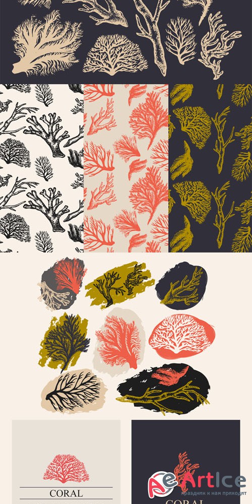 Coral & Seaweed Drawings & Patterns - Creativemarket 82508