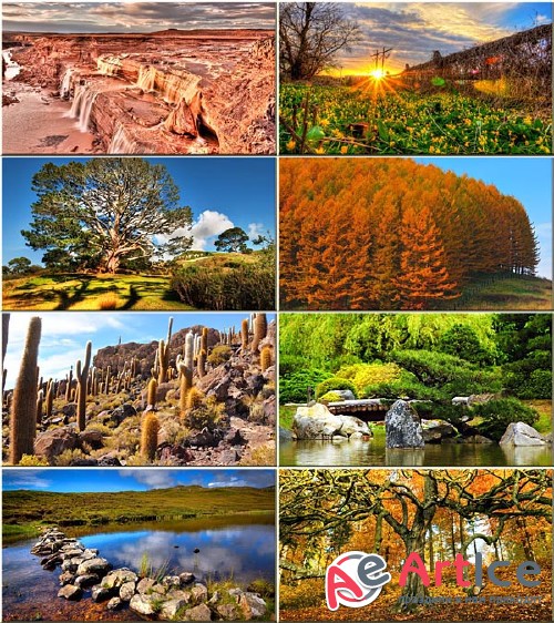 Wallpapers Colorful Landscapes #199