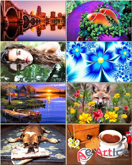 Best Mixed Wallpapers Pack #110