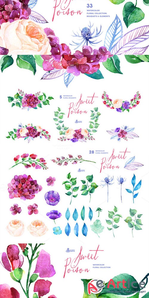 Sweet Poison. Floral collection - Creativemarket 277100