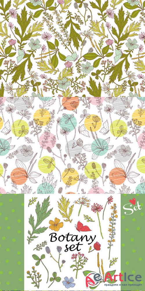 Creativemarket - Botany  Patterns 367777
