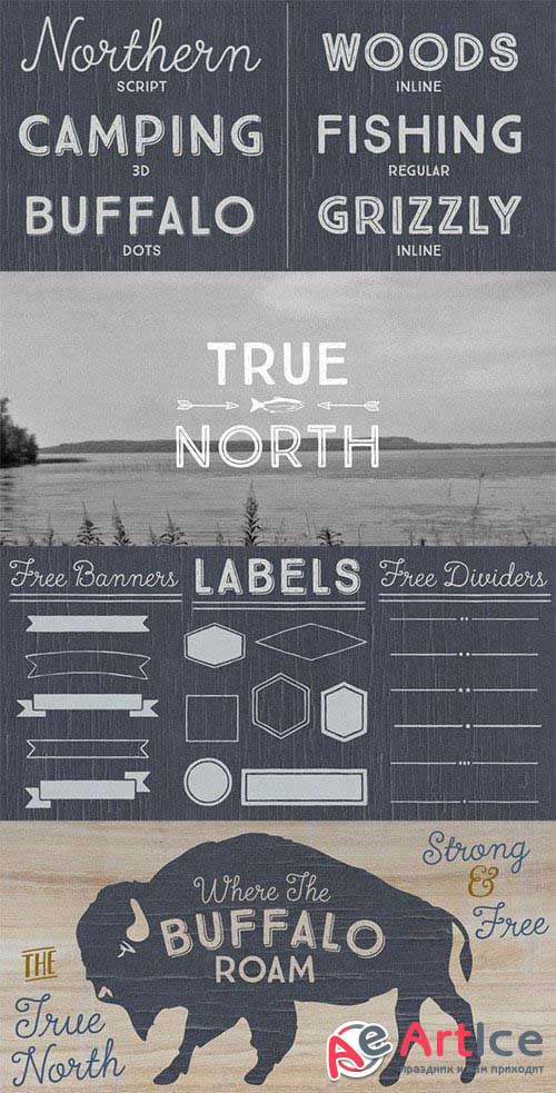 True North  font Family - otf