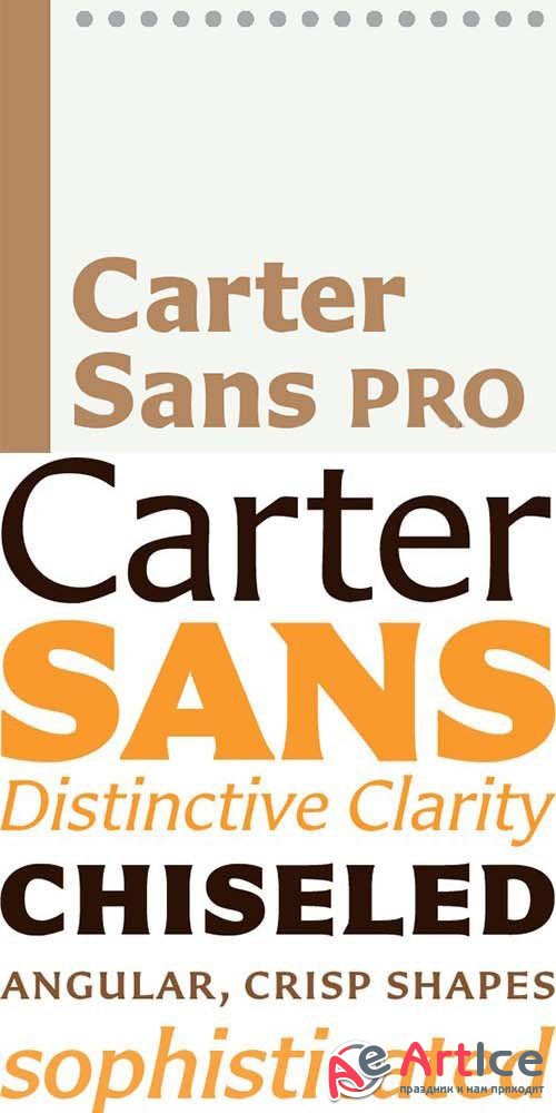 Carter Sans Pro Font Family