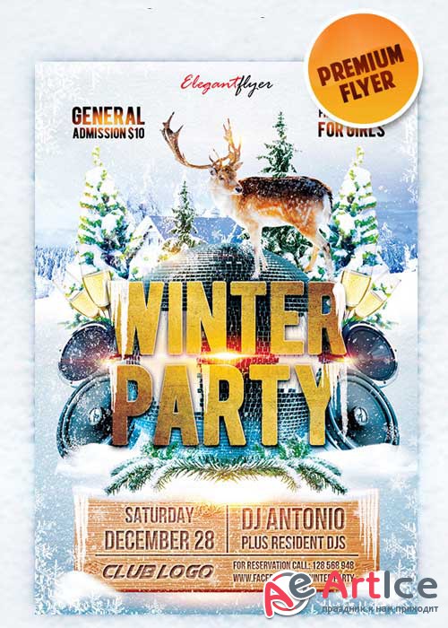 Winter Party flyer Template