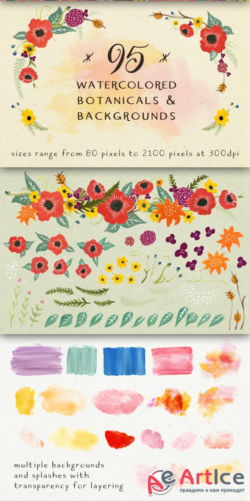 Watercolor Botanical Graphic Bundle - Creativemarket 155888