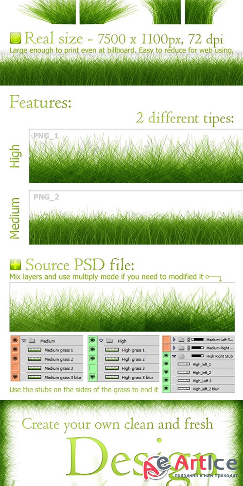 Seamless Grass Texture - Creativemarket 54355
