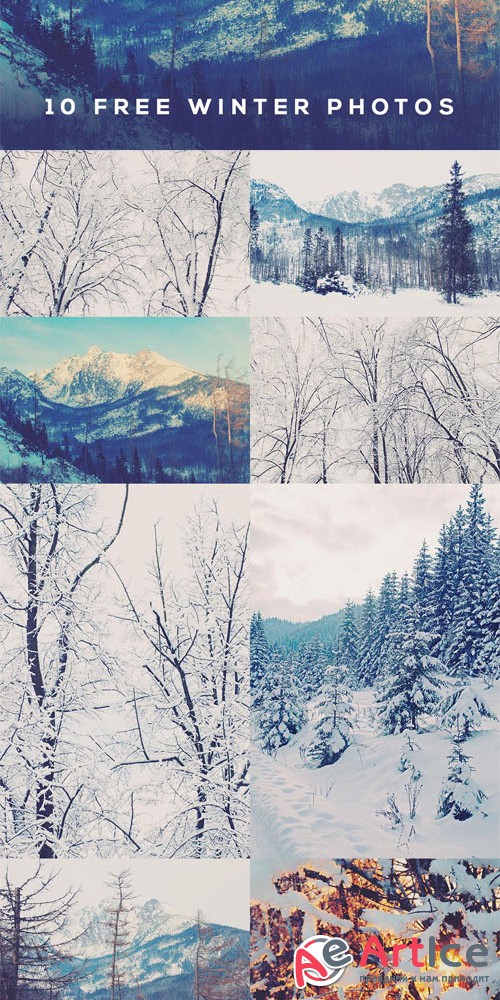 10 Winter Photos