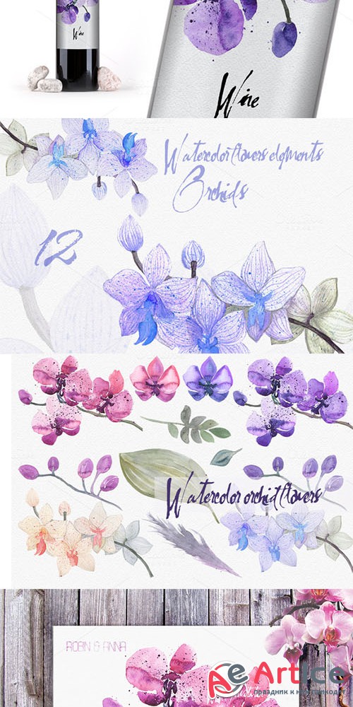 12 watercolor orchid - Creativemarket 231944