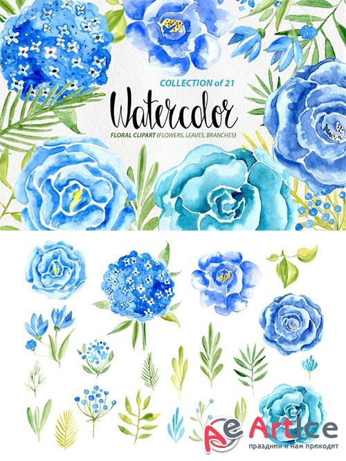 Watercolor blue flowers set - Creativemarket 534011