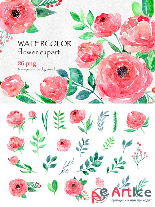 Watercolor flower peony, 26 in set - Creativemarket 557047