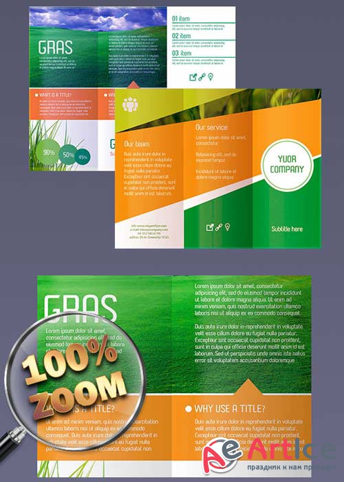 Gras Premium PSD Tri-Fold brochures by ElegantFlyer