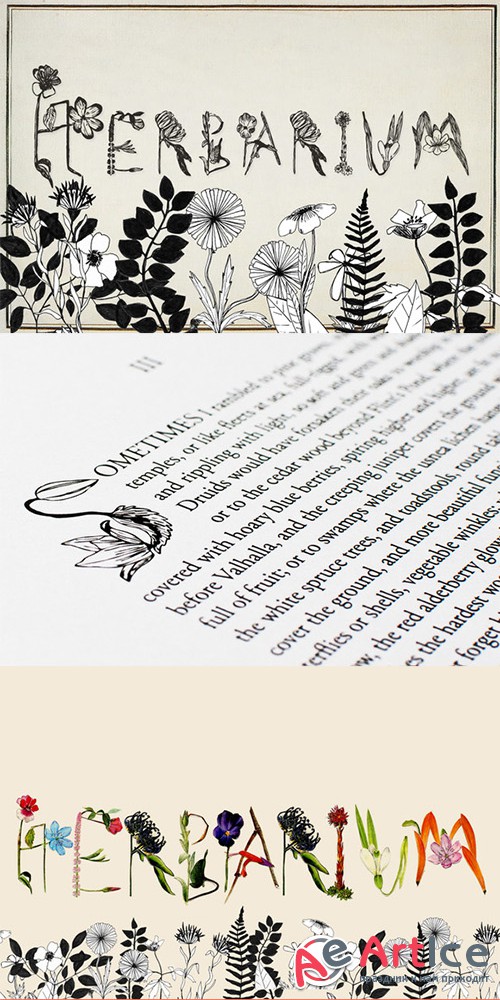 Herbarium Font - Creativemarket 2306