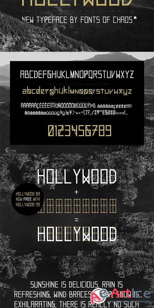 Hollywood 99 - font - Creativemarket 23104