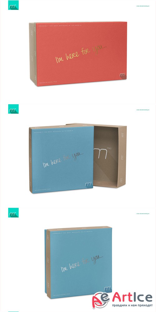Boxes 2 Sizes Mock-up - Creativemarket 498323