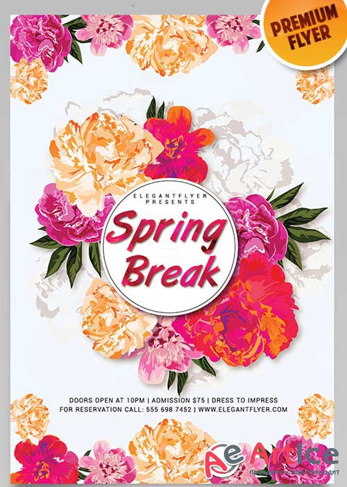 Spring Break Party Flyer V2 PSD Template + Facebook Cover