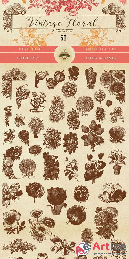 Vintage Flower Vector Graphics - Creativemarket 576425