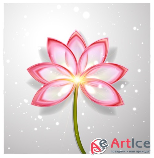     | Lotus Flower Abstract  