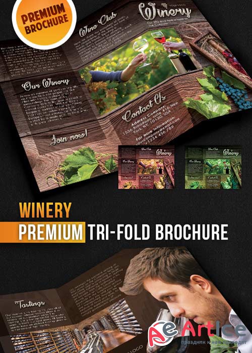 Winery Tri-Fold Brochure PSD Template