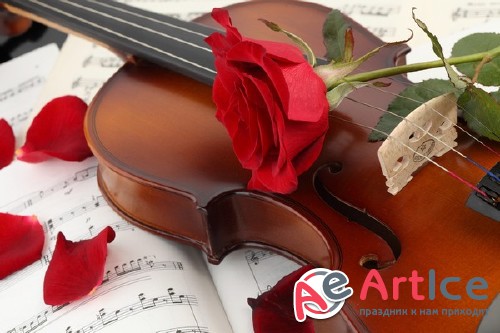 Violin (musical instrument) the images