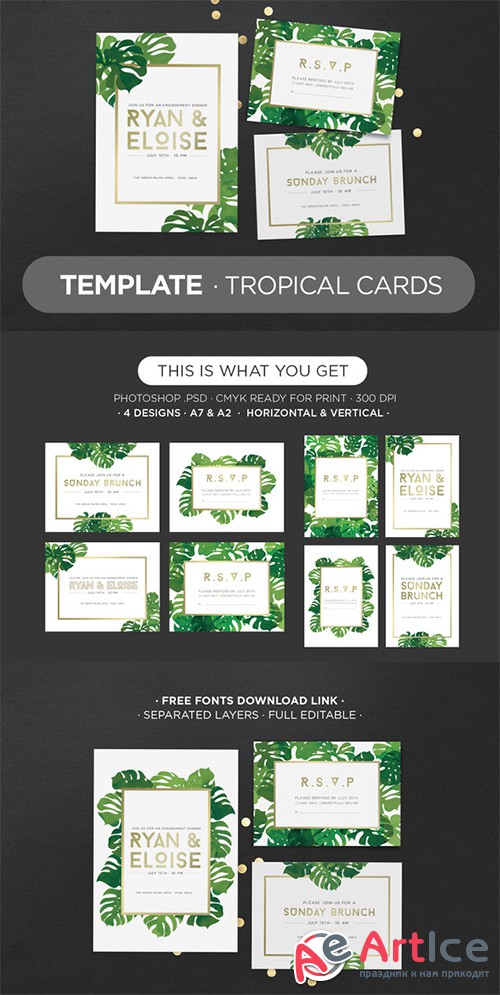 Template Tropical Cards - Creativemarket 309553